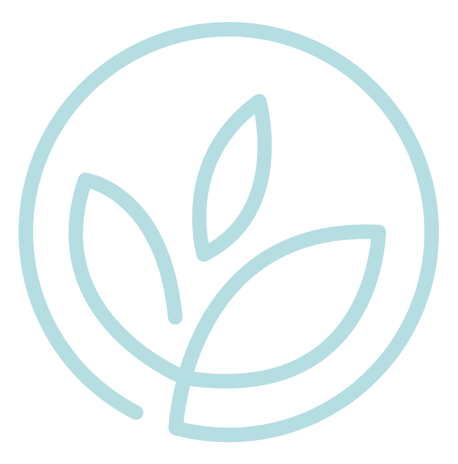 Bloom Valley Nursery Logo